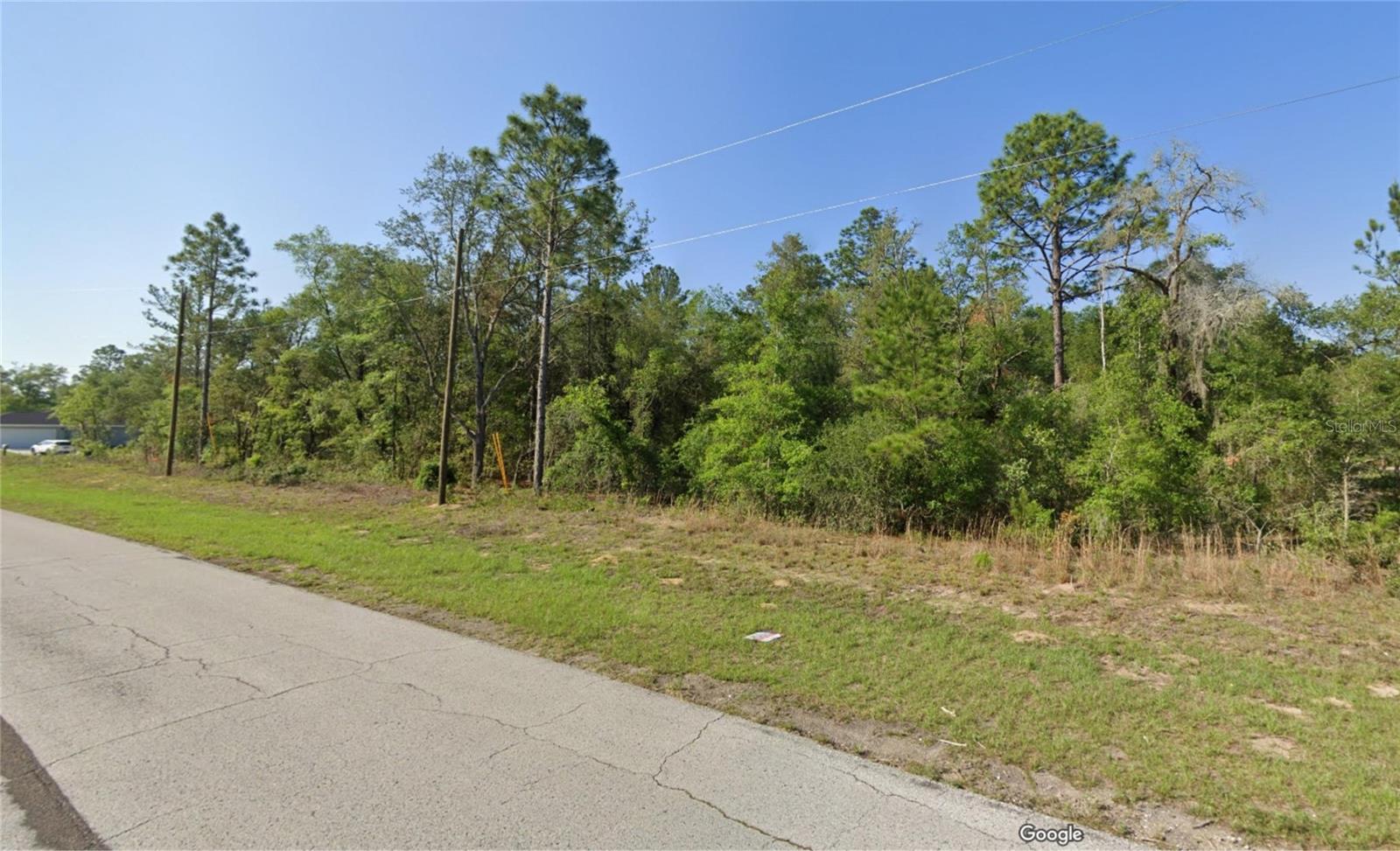 9434 N Athenia Drive, Citrus Springs, Florida 34434, ,Land,For Sale,ATHENIA,W7826497