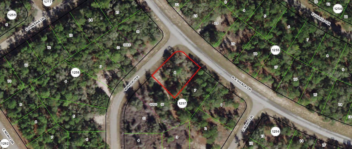 9434 N Athenia Drive, Citrus Springs, Florida 34434, ,Land,For Sale,ATHENIA,W7826497