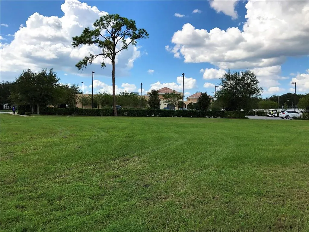 Tavares, Florida 32778, 0 , 0 ,0,Land,For Sale,VINDALE RD & US HWY 441,0,G5034666