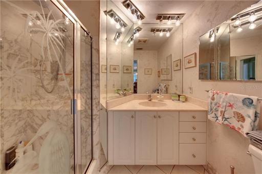 Guest Bath with Large Shower