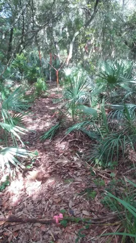 Trail into land