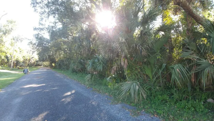 Hibiscus Lane Black Top