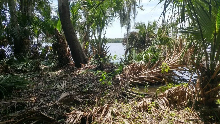 Lake Edge