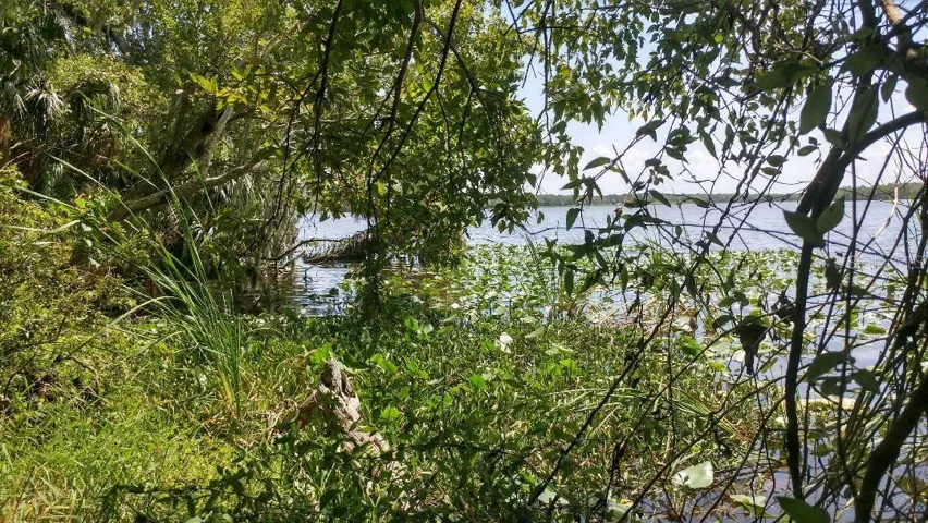 Edge of Lake