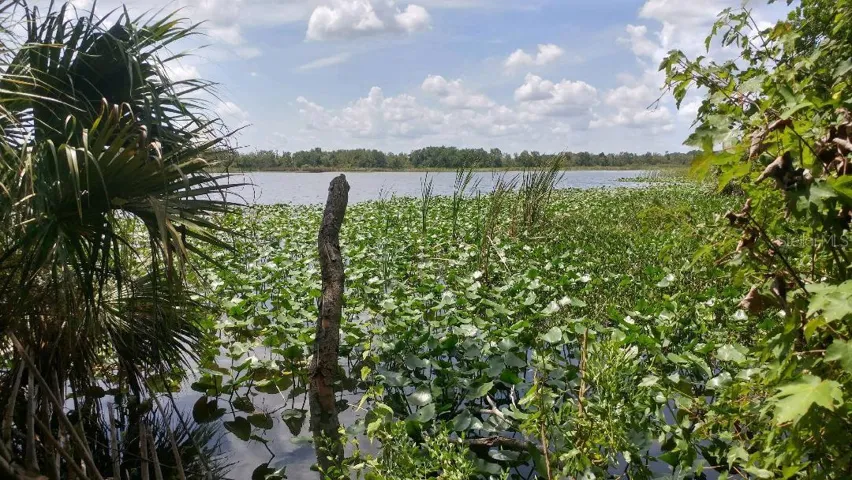 West view at Lake