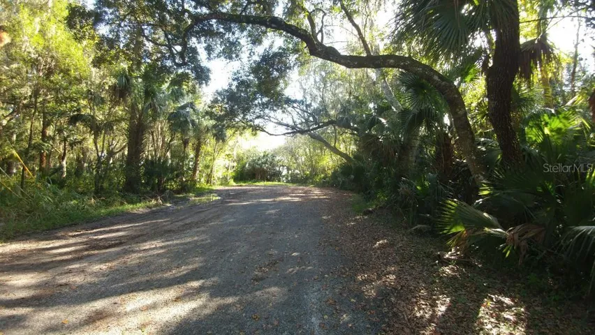 Hibiscus Lane