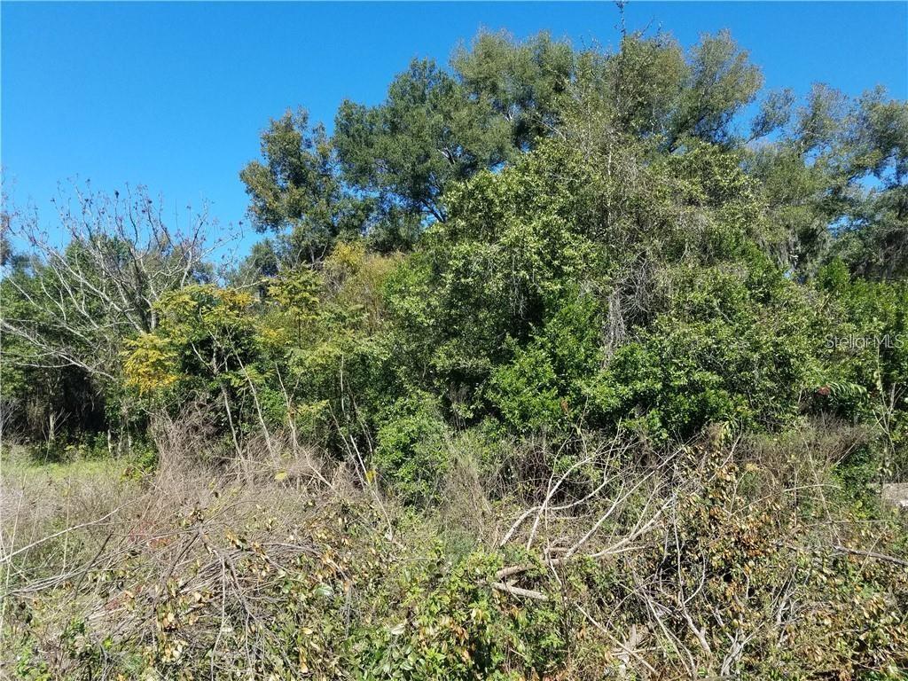 Deland, Florida 32720, 0 , 0 ,0,Land,For Sale,LENOX,0,O5920871