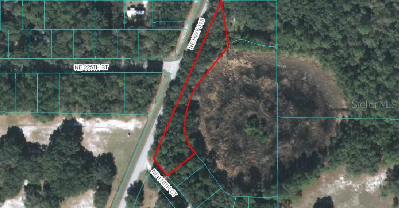 Fort Mc Coy, Florida 32134, 0 , 0 ,0,Land,For Sale,HWY 315,0,OM614805