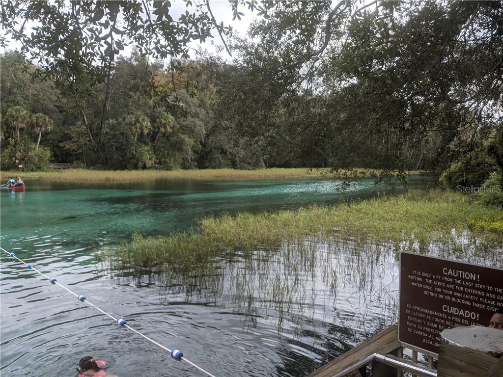 Rainbow Springs swimming and kayaking