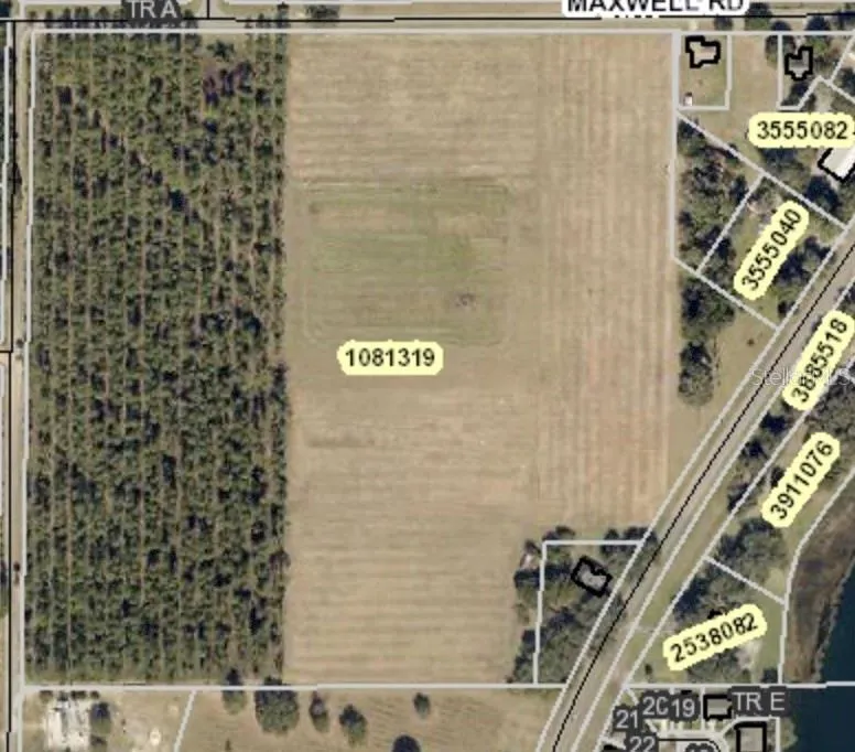 Umatilla, Florida 32784, 0 , 0 ,0,Land,For Sale,STATE ROAD 19,0,O5924960