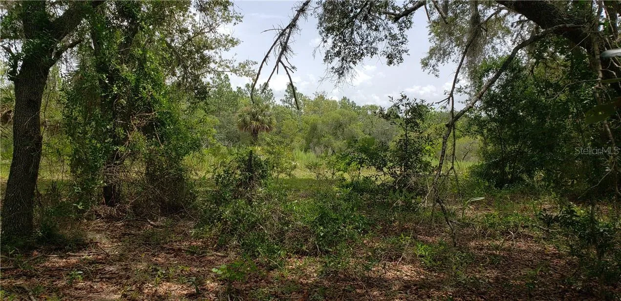 Williston, Florida 32696, 0 , 0 ,0,Land,For Sale,ALT HWY 27,0,OM616092