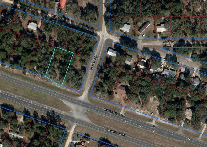 Aerial View of Property