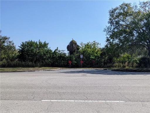 standing on the other parcel of the vacant land that is also a small parcel included in the sale that appears on the survey 