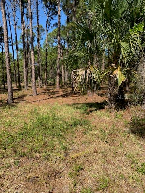 Englewood, Florida 34224, 0 , 0 ,0,Land,For Sale,BANTRY BAY,0,N6114464