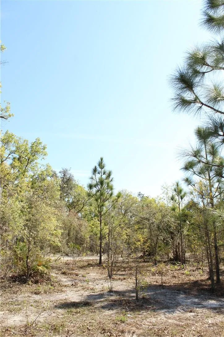 Crystal River, Florida 34429, 0 , 0 ,0,Land,For Sale,JORIE,0,W7832087