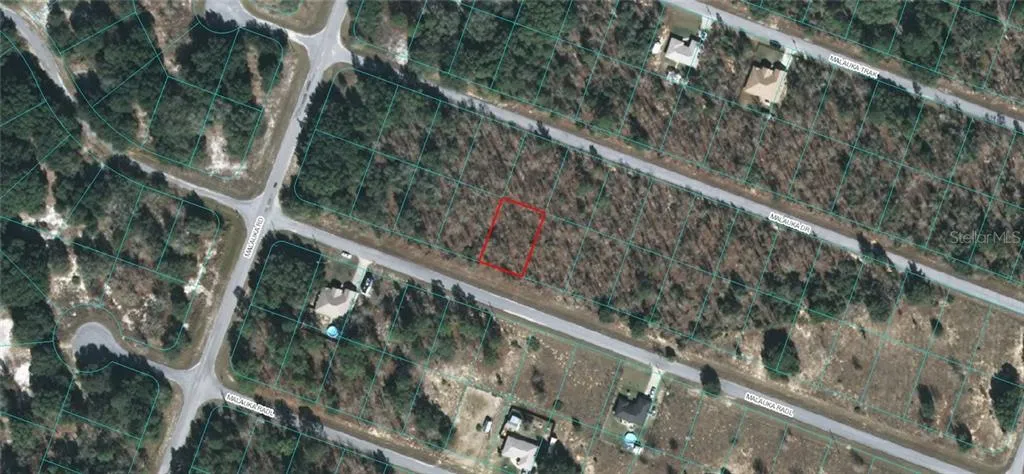 Ocklawaha, Florida 32179, 0 , 0 ,0,Land,For Sale,MALAUKA,0,OM618591