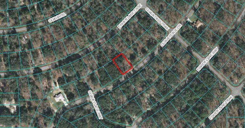 Ocklawaha, Florida 32179, 0 , 0 ,0,Land,For Sale,GUAVA PLACE,0,OM618727