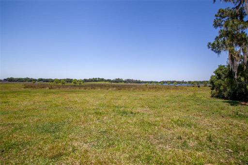 Lot view