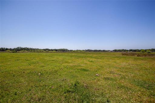 Lot view
