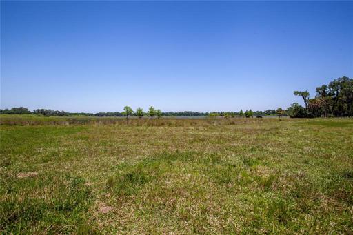 Lot view