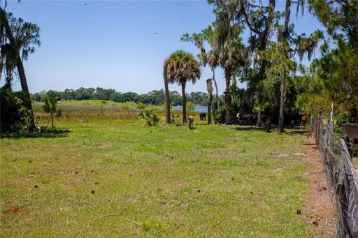 Lot view
