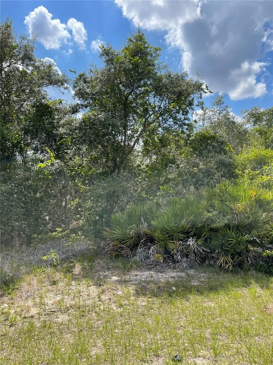 Poinciana, Florida 34759, 0 , 0 ,0,Land,For Sale,MEDITERRANEAN,0,S5049855