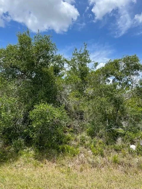 Punta Gorda, Florida 33982, 0 , 0 ,0,Land,For Sale,WASHINGTON LOOP,0,C7443502