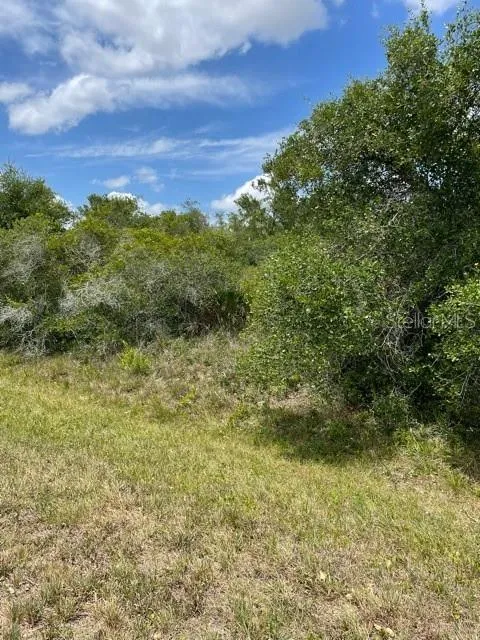 Punta Gorda, Florida 33982, 0 , 0 ,0,Land,For Sale,WASHINGTON LOOP,0,C7443502
