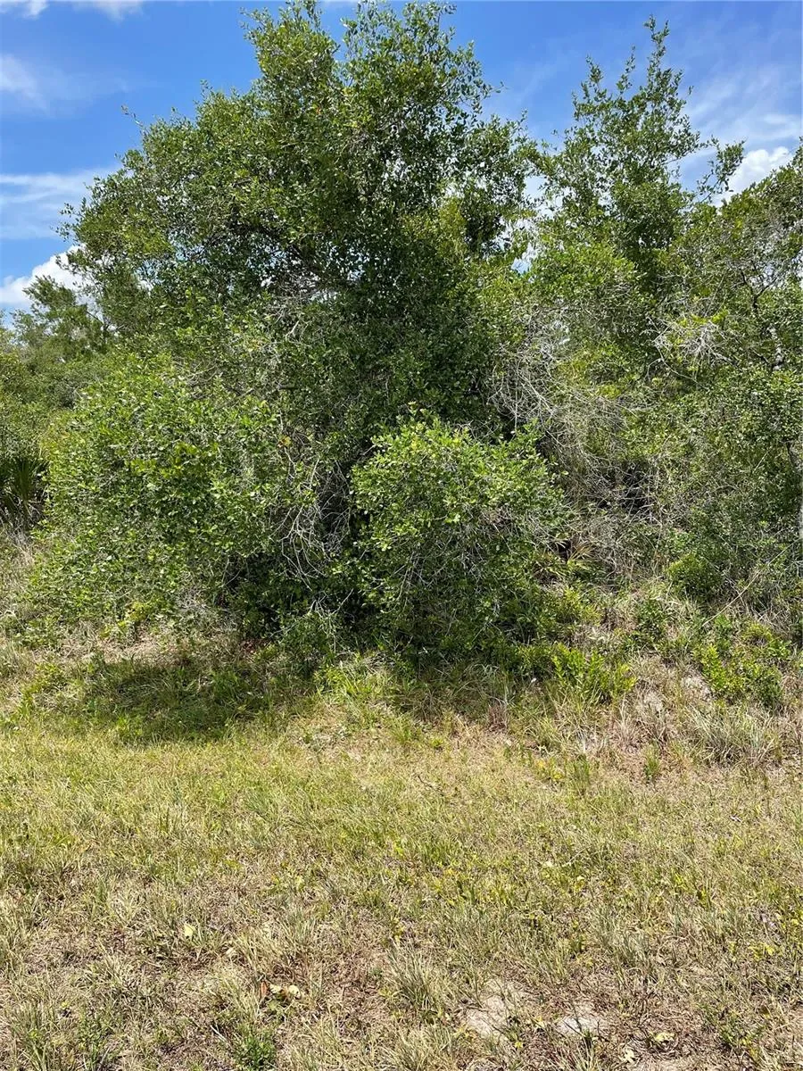Punta Gorda, Florida 33982, 0 , 0 ,0,Land,For Sale,WASHINGTON LOOP,0,C7443502