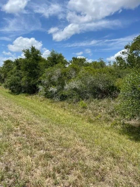 Punta Gorda, Florida 33982, 0 , 0 ,0,Land,For Sale,WASHINGTON LOOP,0,C7443502