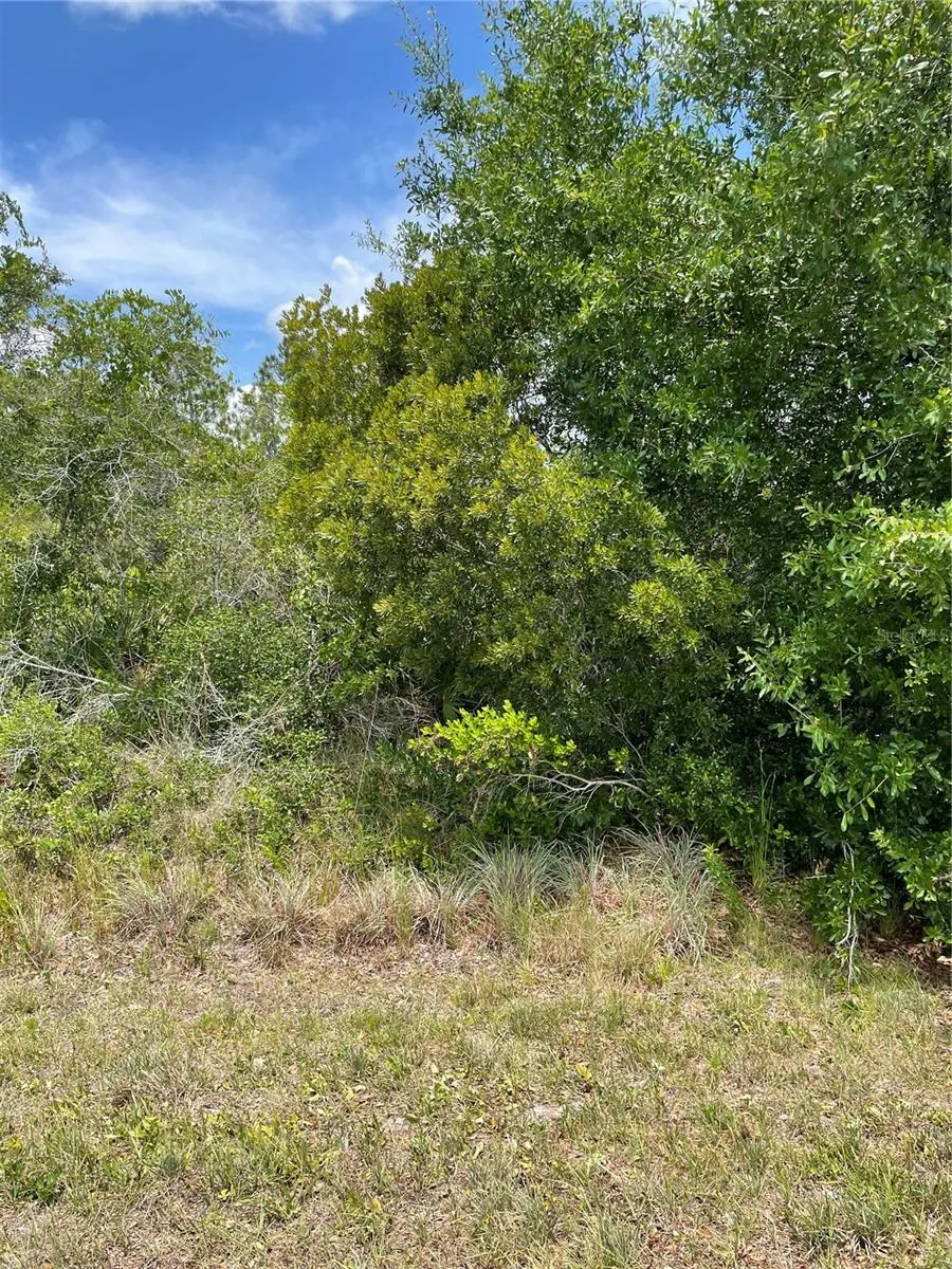 Punta Gorda, Florida 33982, 0 , 0 ,0,Land,For Sale,WASHINGTON LOOP,0,C7443502