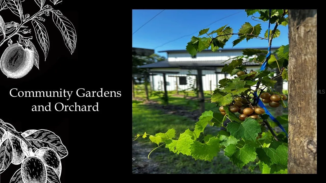Archer, Florida 32618, 0 , 0 ,0,Land,For Sale,58th,0,GC442448