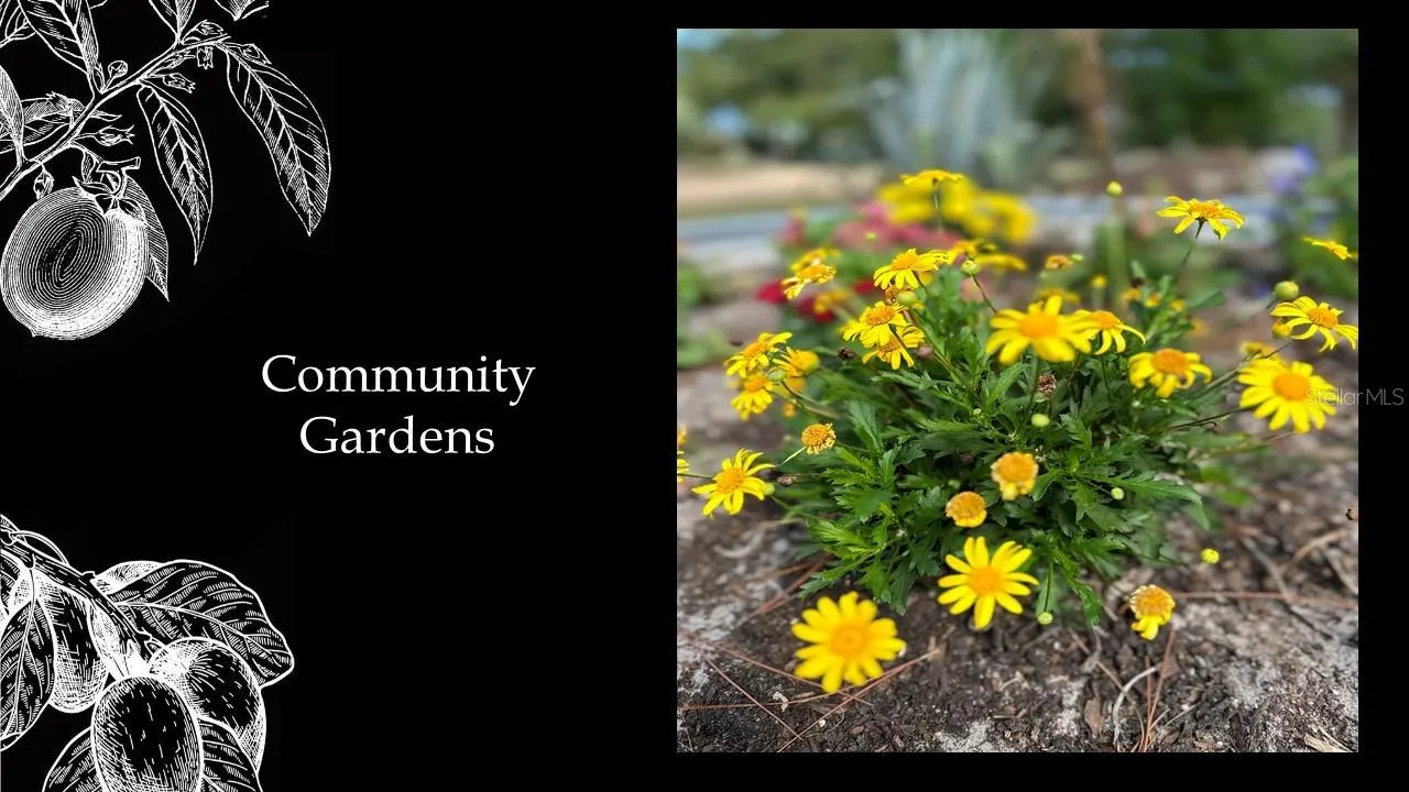 Archer, Florida 32618, 0 , 0 ,0,Land,For Sale,58th,0,GC442448