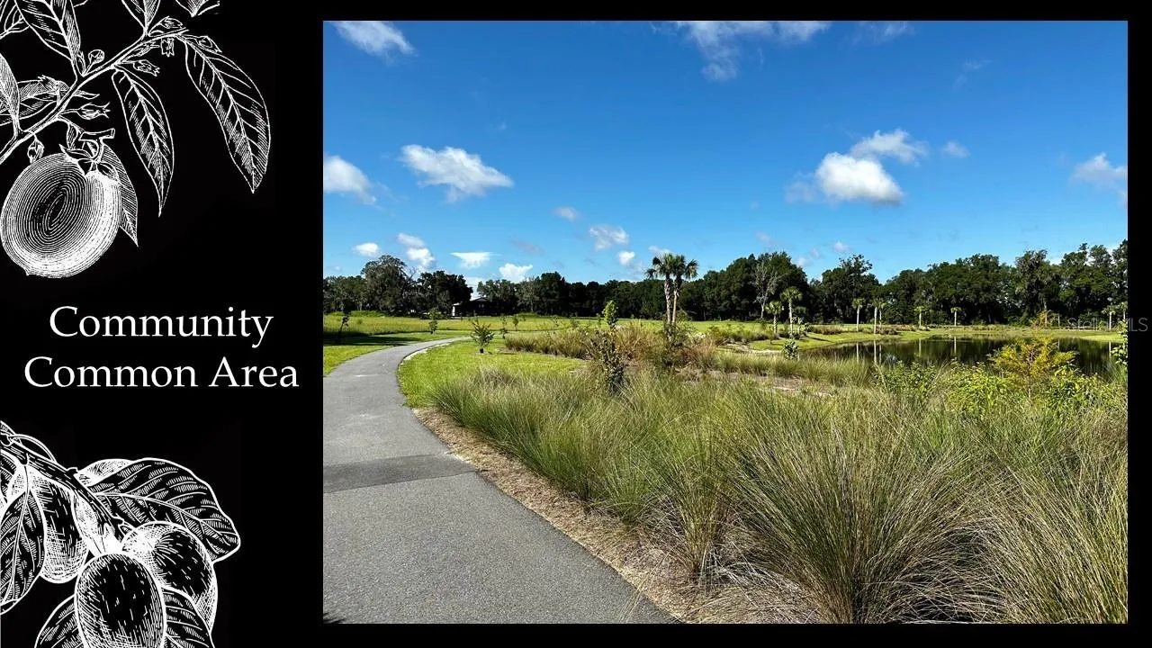 Archer, Florida 32618, 0 , 0 ,0,Land,For Sale,58th,0,GC442448