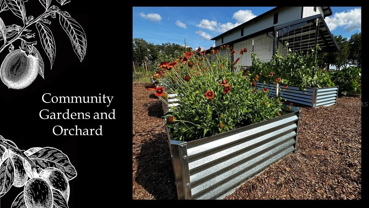 Archer, Florida 32618, 0 , 0 ,0,Land,For Sale,58th,0,GC442457