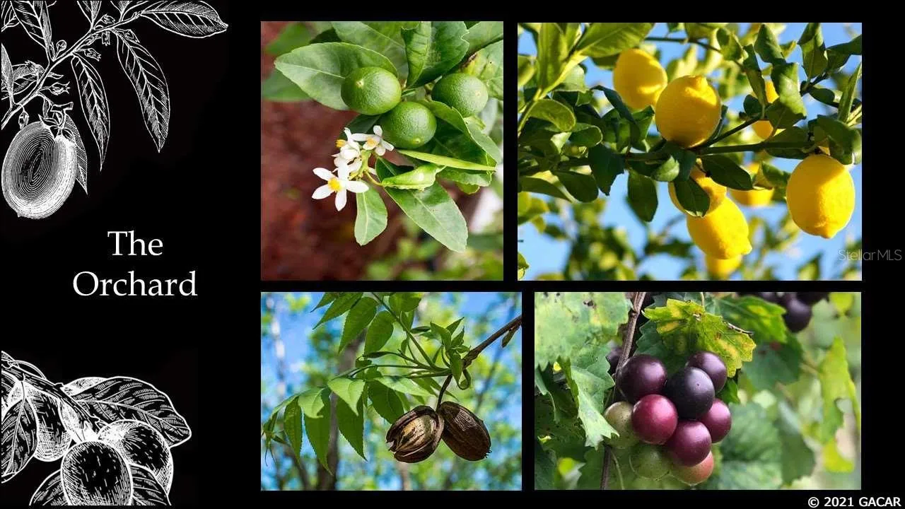 Archer, Florida 32618, 0 , 0 ,0,Land,For Sale,58th,0,GC442457