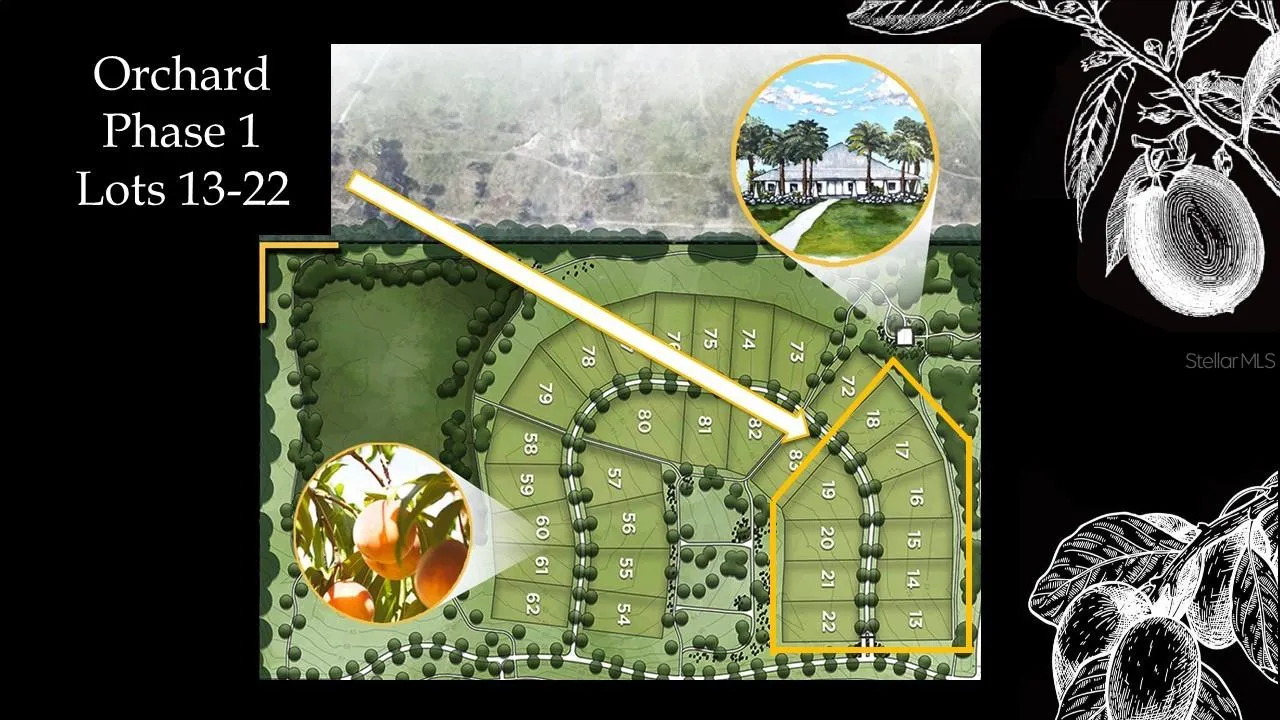 Archer, Florida 32618, 0 , 0 ,0,Land,For Sale,58th,0,GC442457