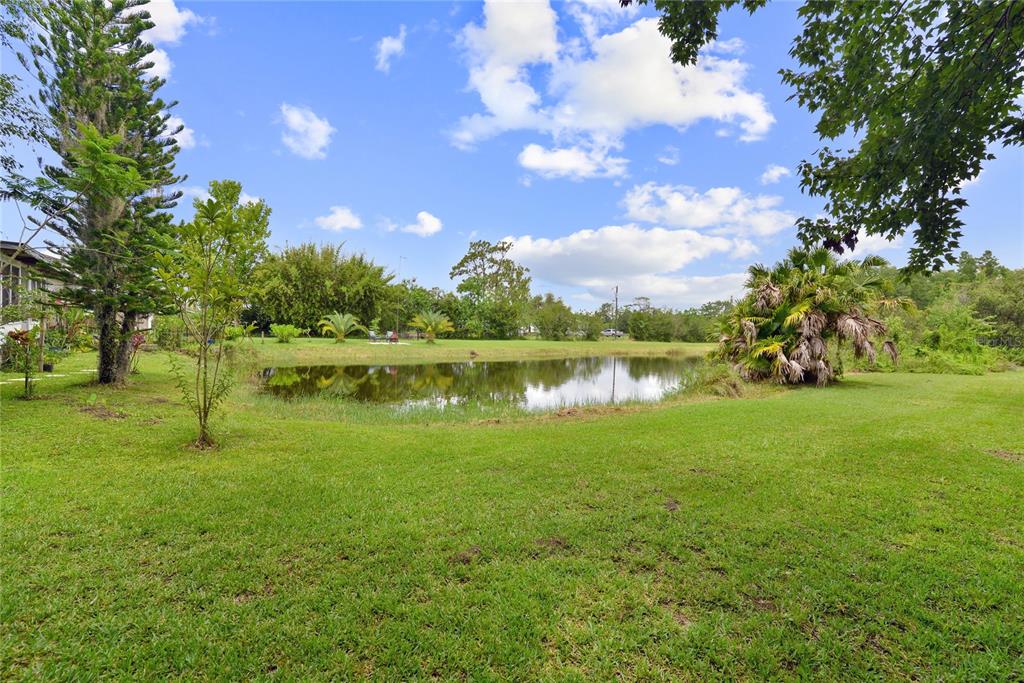 Pond View