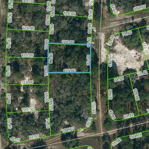 244 Blue Horizon Drive, Lake Placid, Florida 33852, ,Land,For Sale,BLUE HORIZON,OM623430