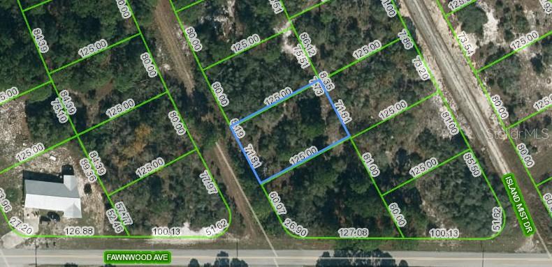 203 Blue Horizon Drive, Lake Placid, Florida 33852, ,Land,For Sale,BLUE HORIZON,OM623439