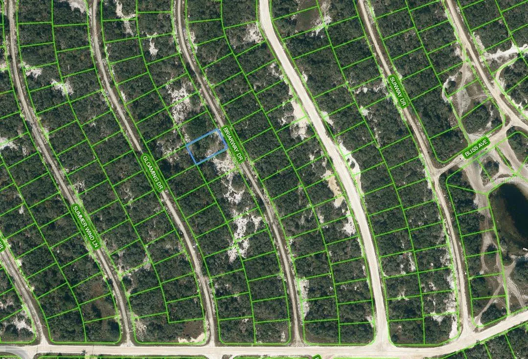 218 Briarway Drive, Lake Placid, Florida 33852, ,Land,For Sale,BRIARWAY,OM623569
