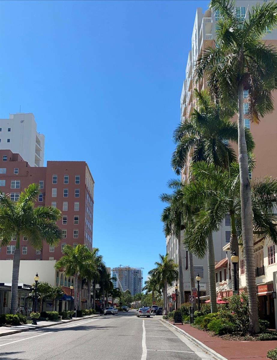 Downtown Sarasota