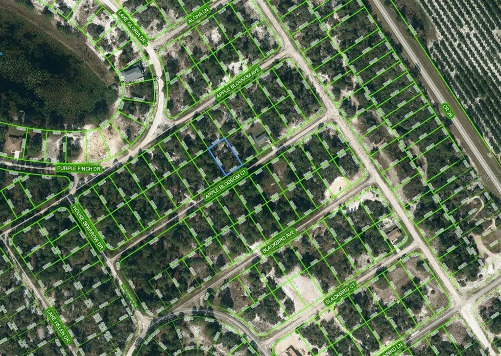 448 Apple Blossom Court, Lake Placid, Florida 33852, ,Land,For Sale,APPLE BLOSSOM,OM624324