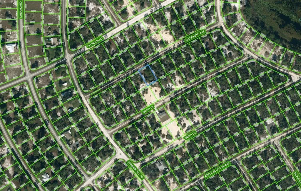 411 Allegheny Avenue, Lake Placid, Florida 33852, ,Land,For Sale,ALLEGHENY,OM624327