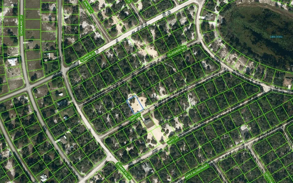 408 Tahiti Court, Lake Placid, Florida 33852, ,Land,For Sale,TAHITI,OM624329