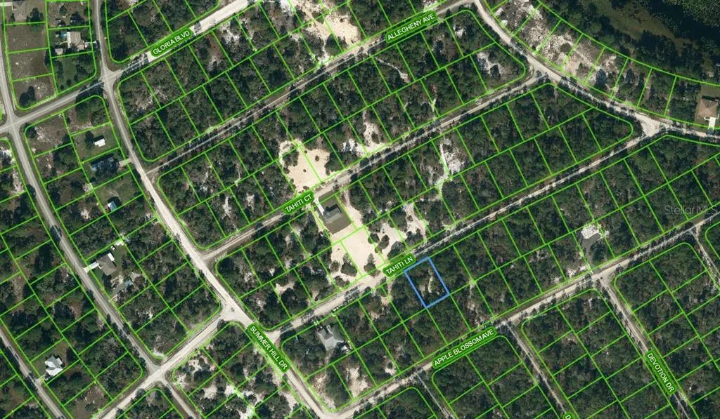 411 Tahiti Lane, Lake Placid, Florida 33852, ,Land,For Sale,TAHITI,OM624334