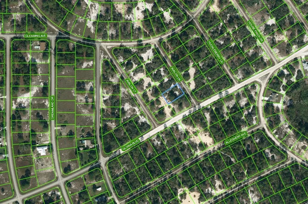 602 Avalon Lane, Lake Placid, Florida 33852, ,Land,For Sale,AVALON,OM624341
