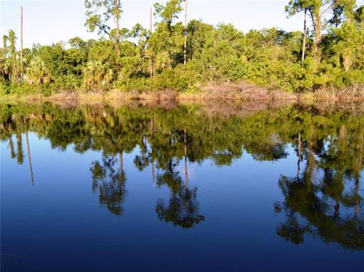 Lake view
