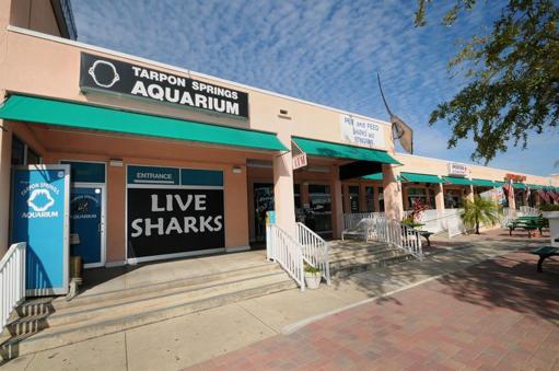 Tarpon Springs/Sponge Docks