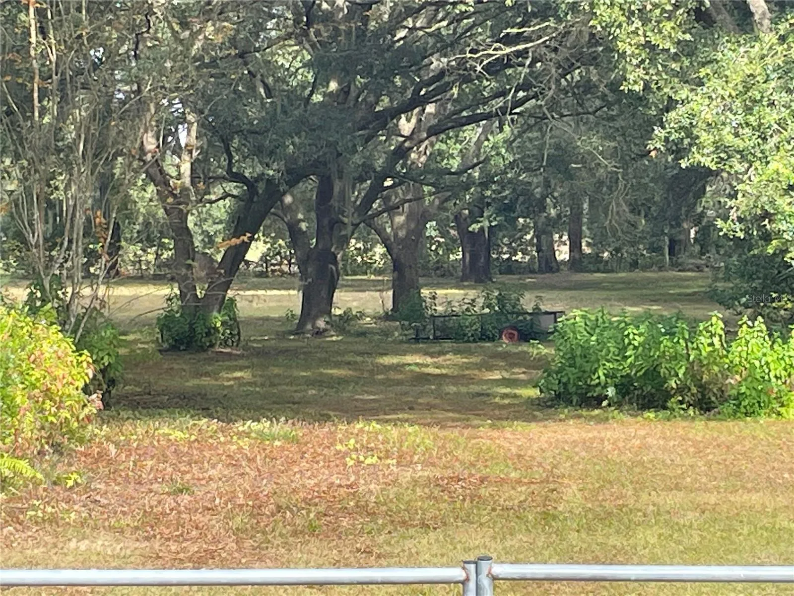 Oxford, Florida 34484, 0 , 0 ,0,Land,For Sale,E C-466,0,G5045397